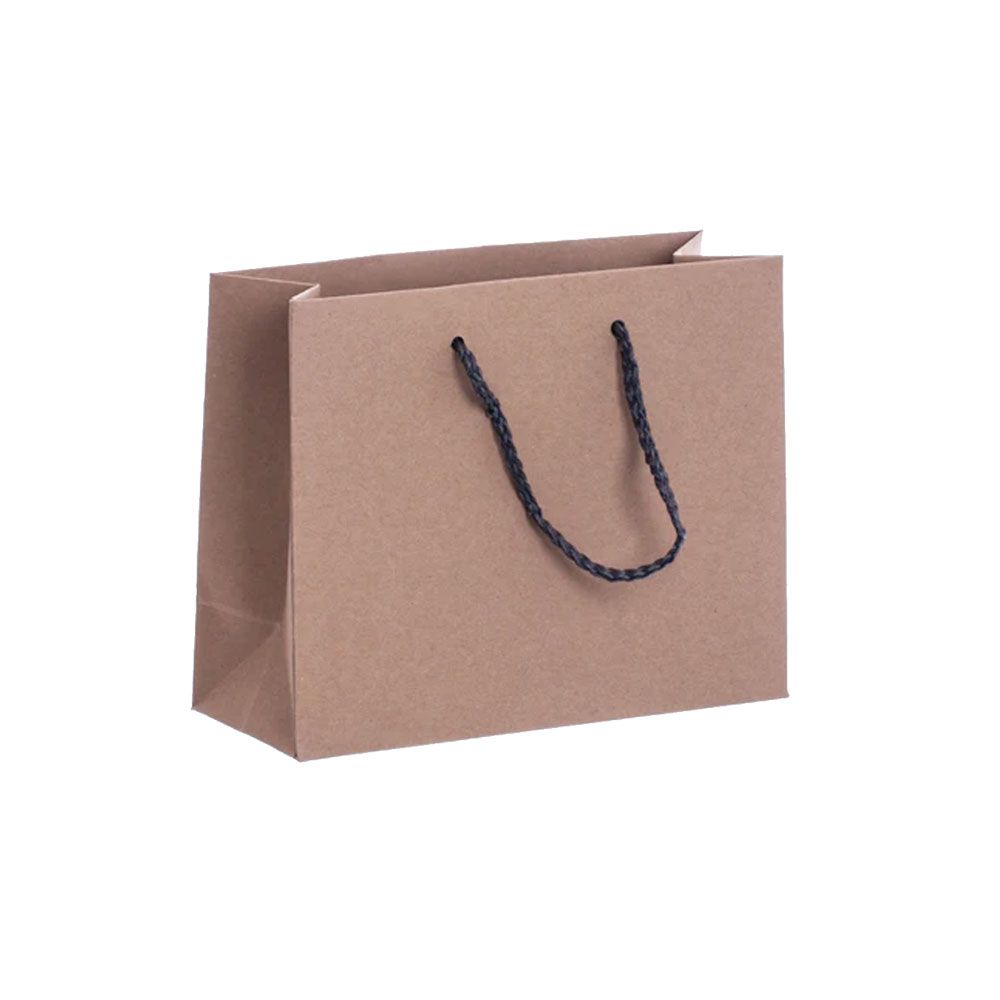 Pack of 25 Landscape Kraft Paper Gift Bags With Grey Rope Handles