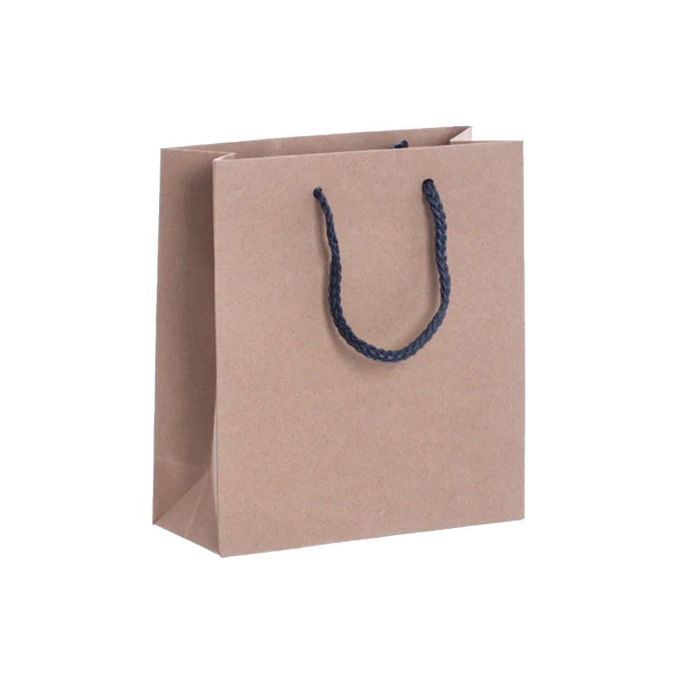 Pack of 25 Portrait Kraft Paper Gift Bags With Grey Rope Handles