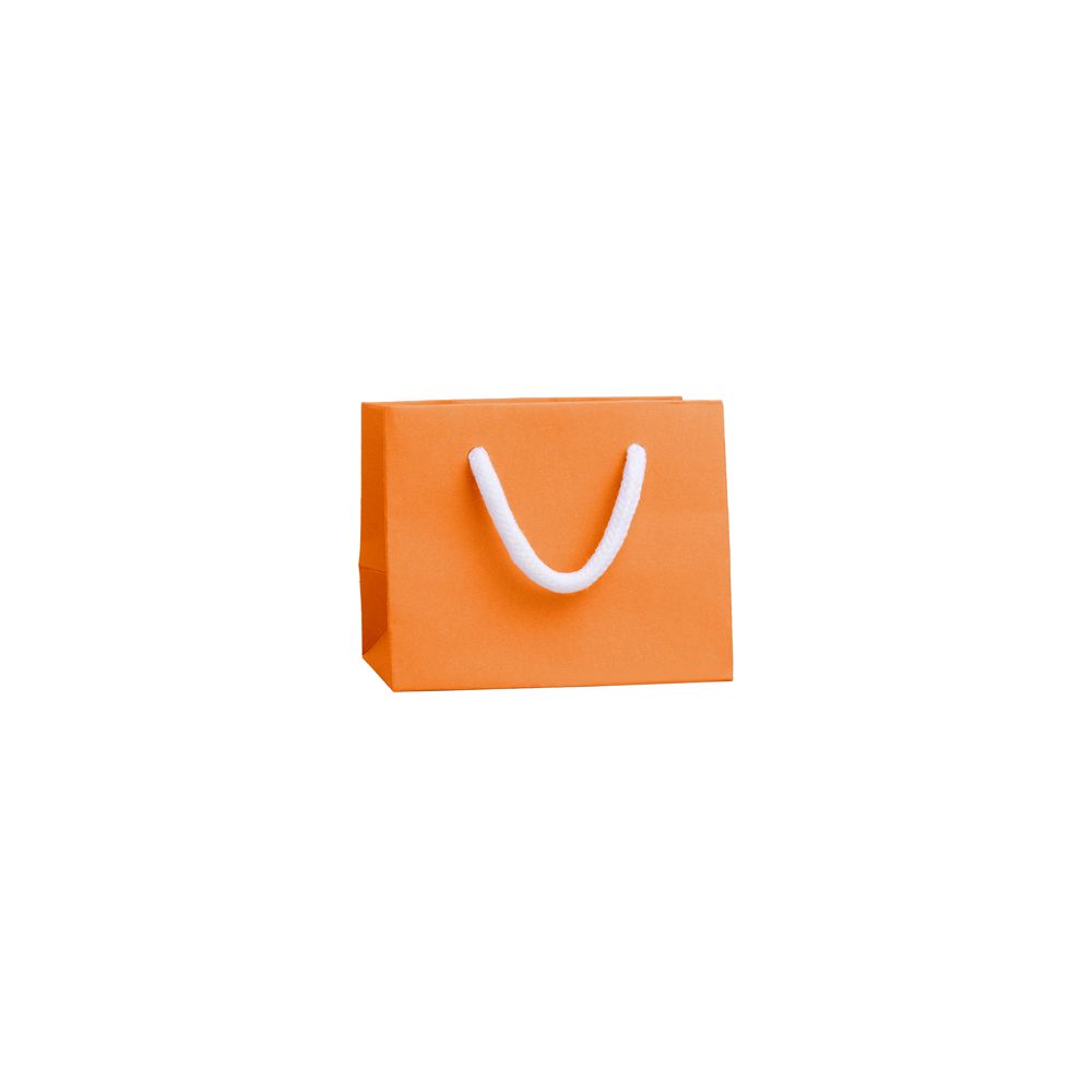 Extra Small Landscape Apricot Crush Orange Paper Gift Bag with Rope Handles