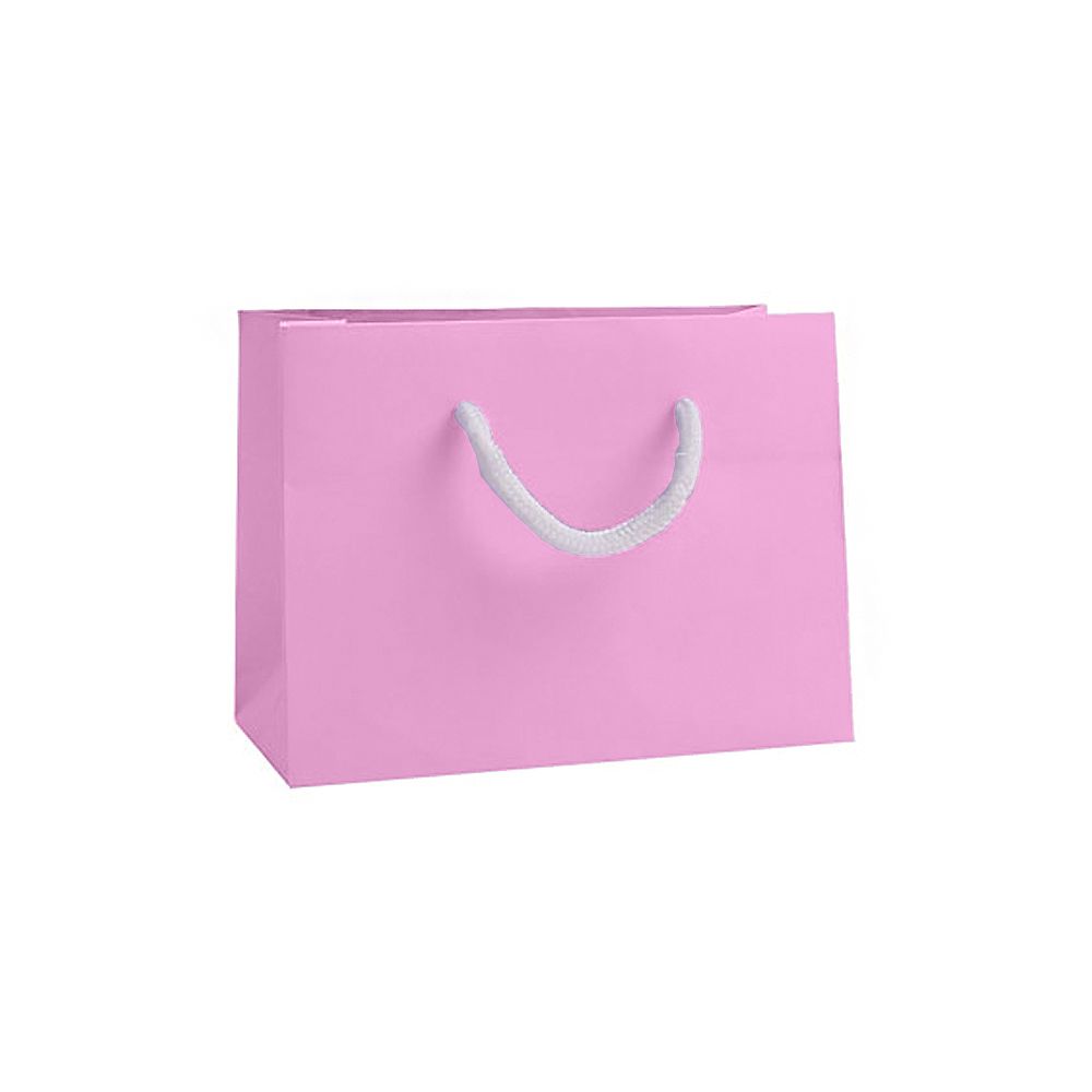 Small Landscape Fondant Pink Paper Gift Bag with Rope Handles