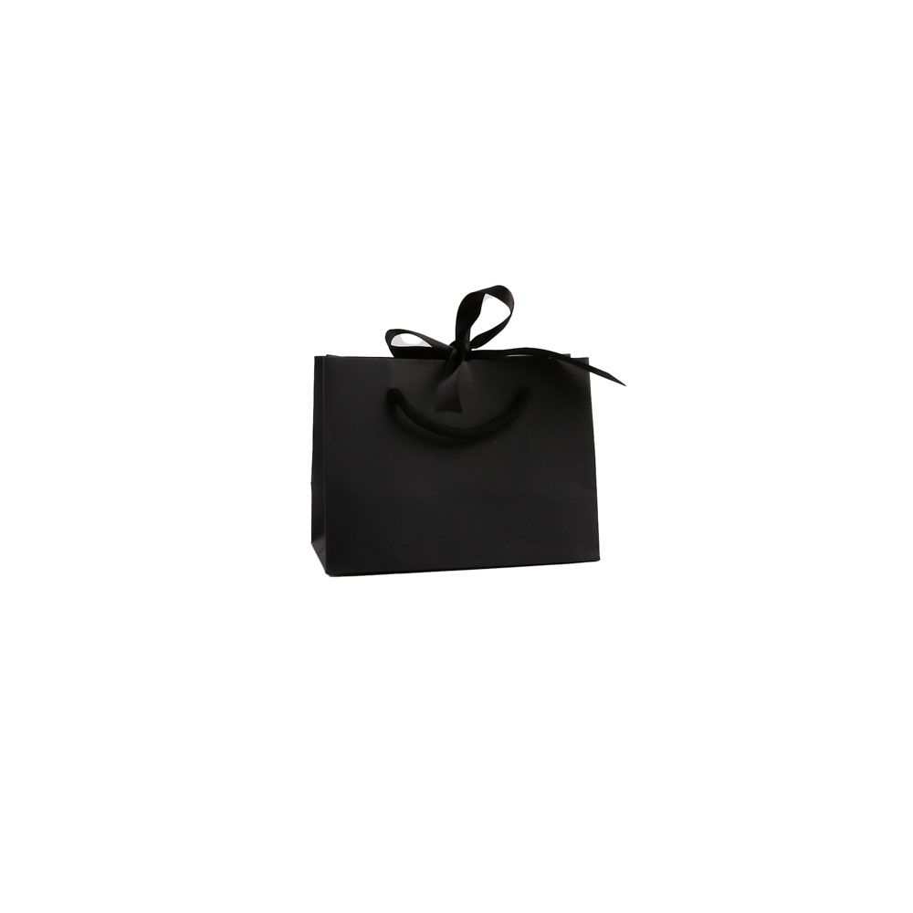 Small Landscape Black Paper Gift Bag With Rope Handles and Ribbon 