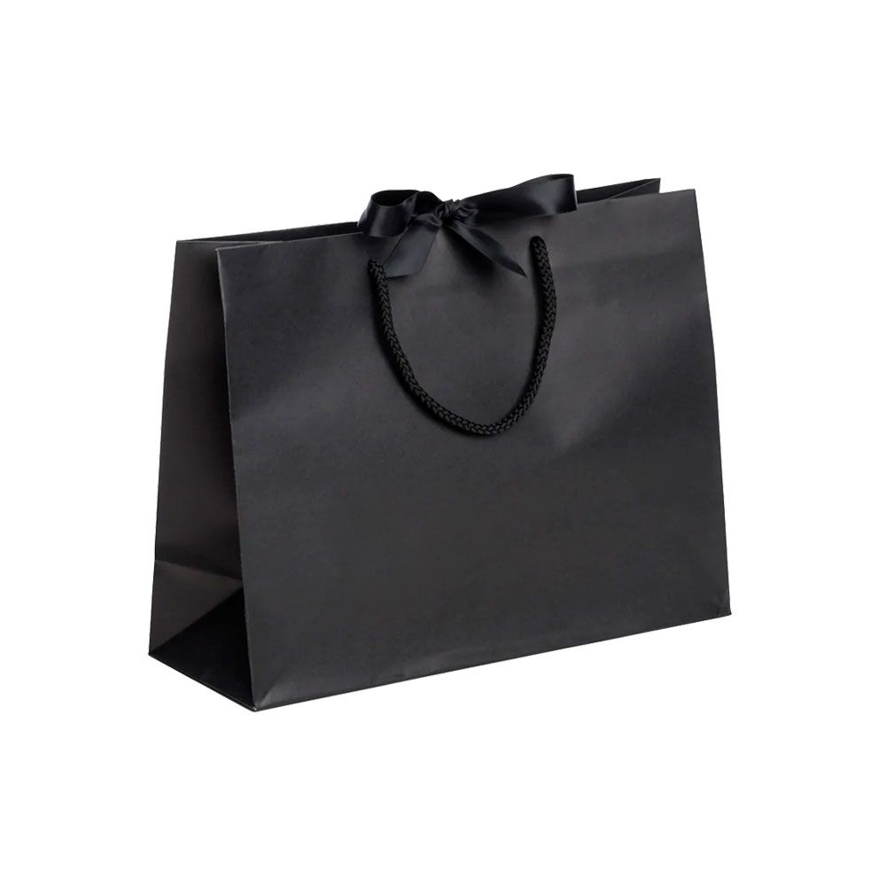 Pack of 25 Medium Landscape Black Paper Gift Bags With Rope Handles and Ribbon