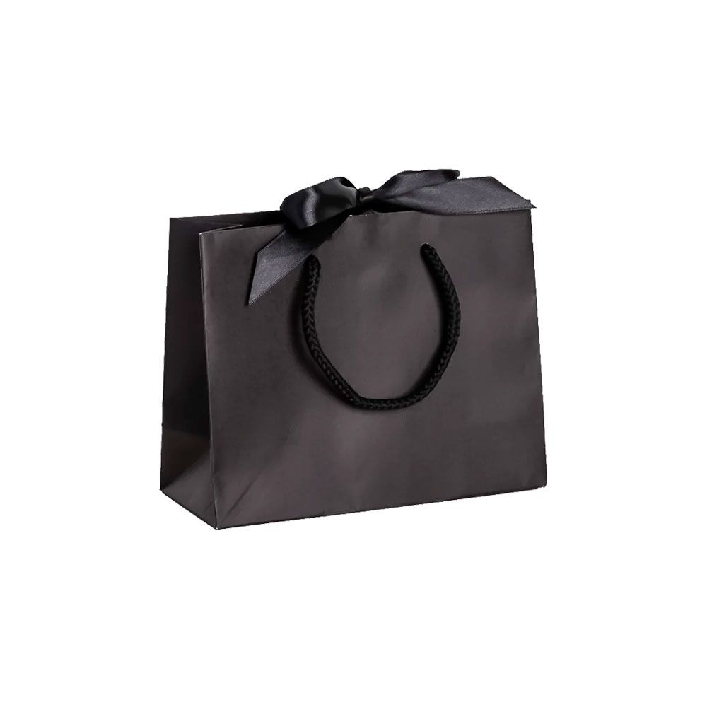 Pack of 25 Small Landscape Black Paper Gift Bags With Rope Handles and Ribbon