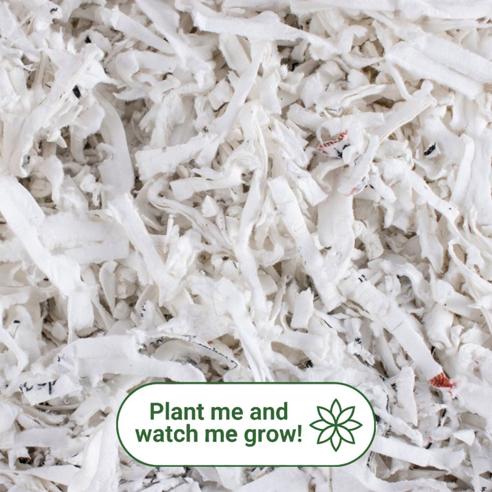 Plantable Shredded Box Filler - 1kg