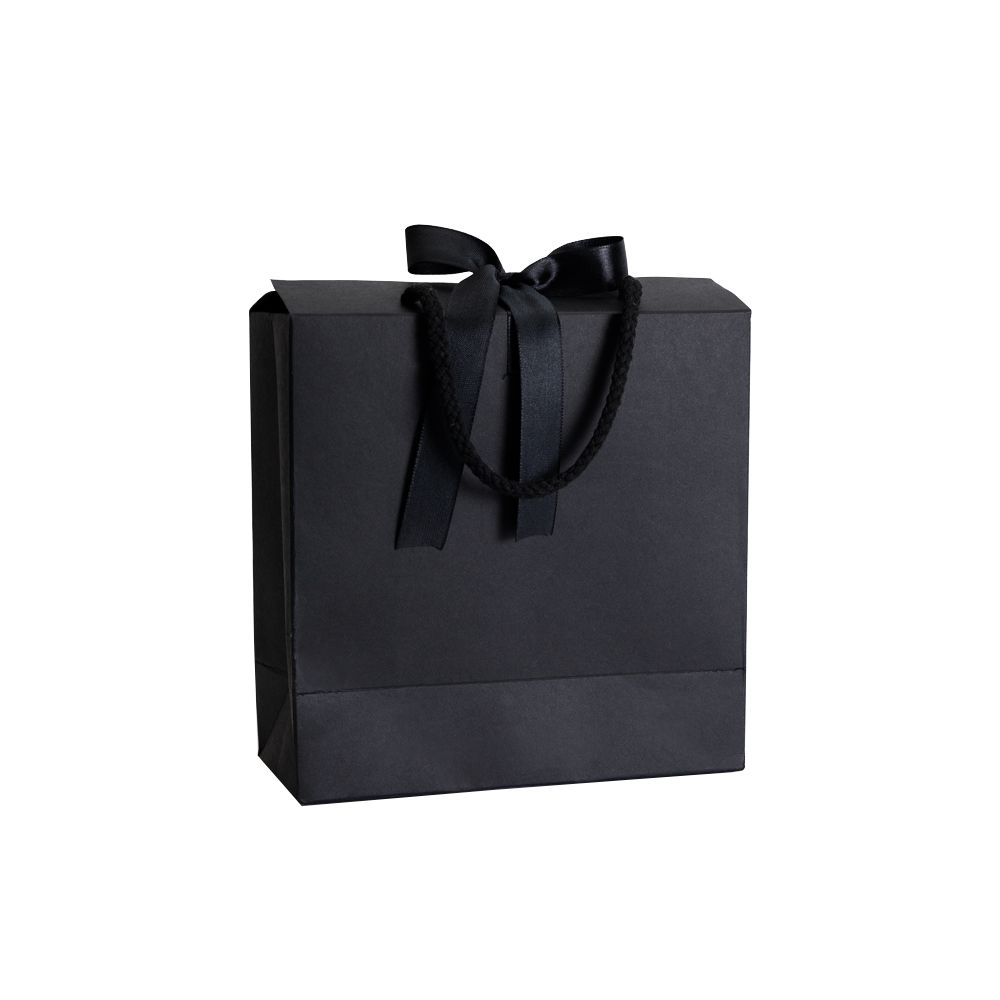 Box Bag Black Rope Handle Gift Bag With Ribbon and Closing Top