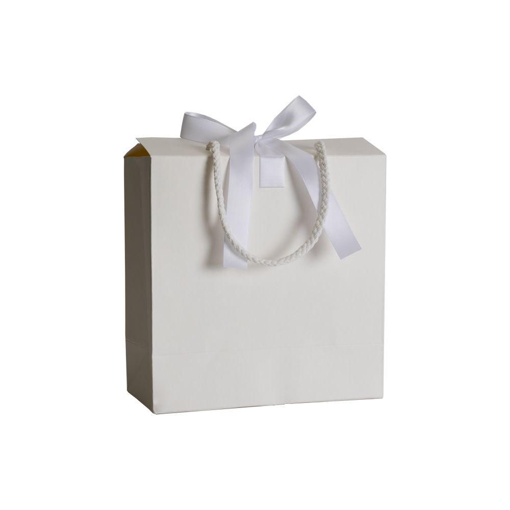 Box Bag Antique White Rope Handle Gift Bag With Ribbon and Closing Top