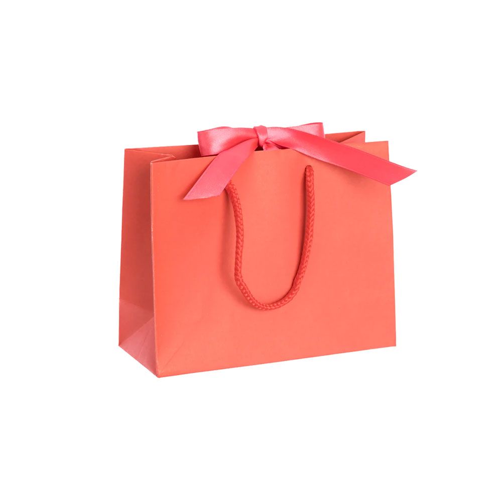 Pack of 25 Small Landscape Light Red Paper Gift Bags With Rope Handles and Ribbon