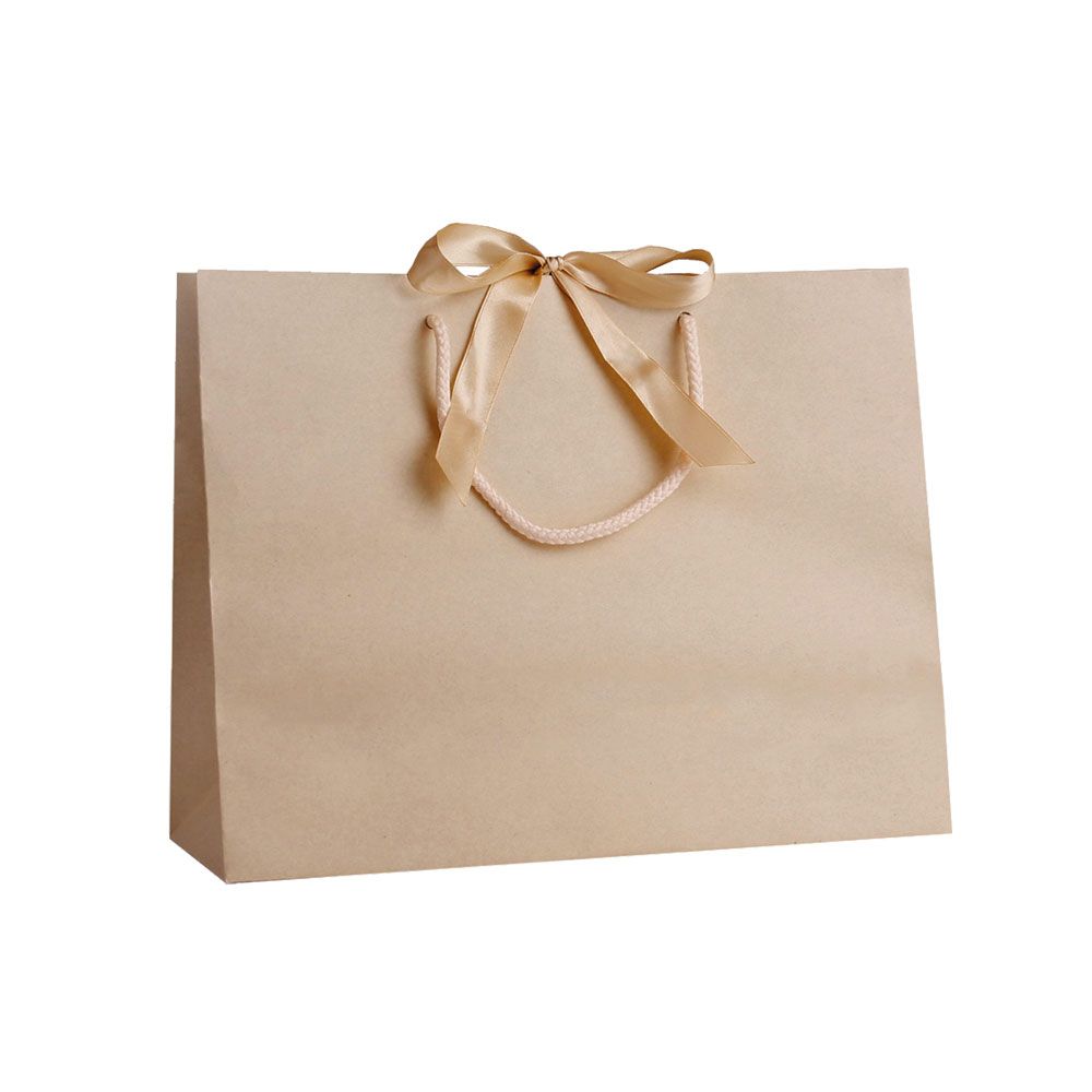 Pack of 25 Medium Landscape Cream Paper Gift Bags With Rope Handles and Ribbon