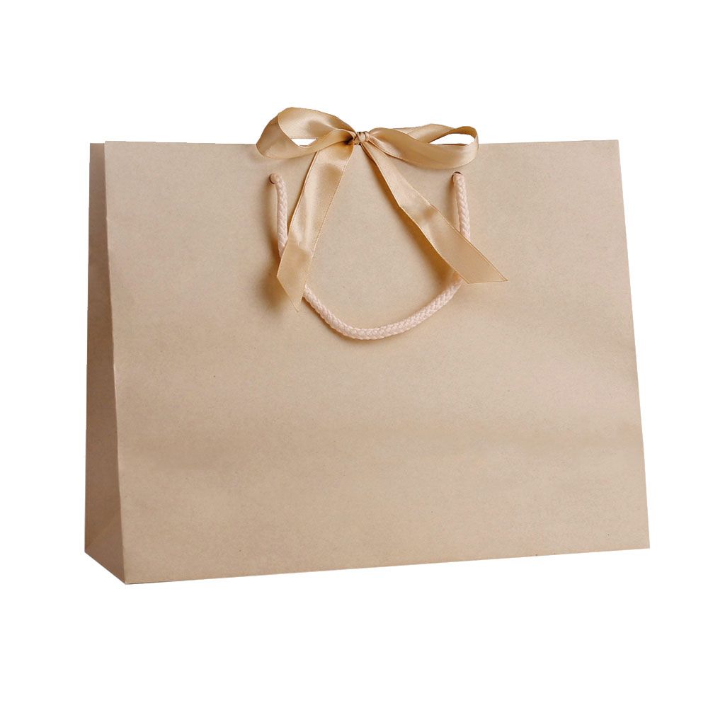Pack of 25 Large Landscape Cream Paper Gift Bags With Rope Handles and Ribbon