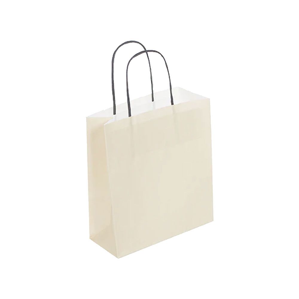 Pack of 25 Small Cream Paper Gift Bags With Paper Twisted Handles