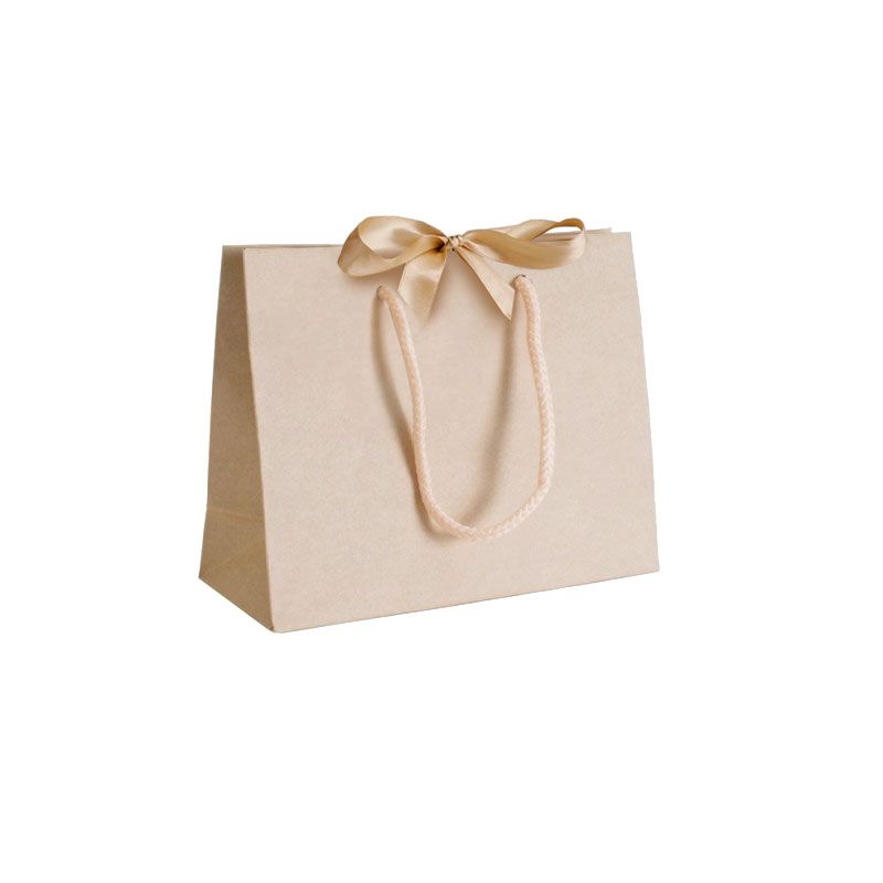 Pack of 25 Small Landscape Cream Paper Gift Bags With Rope Handles and Ribbon