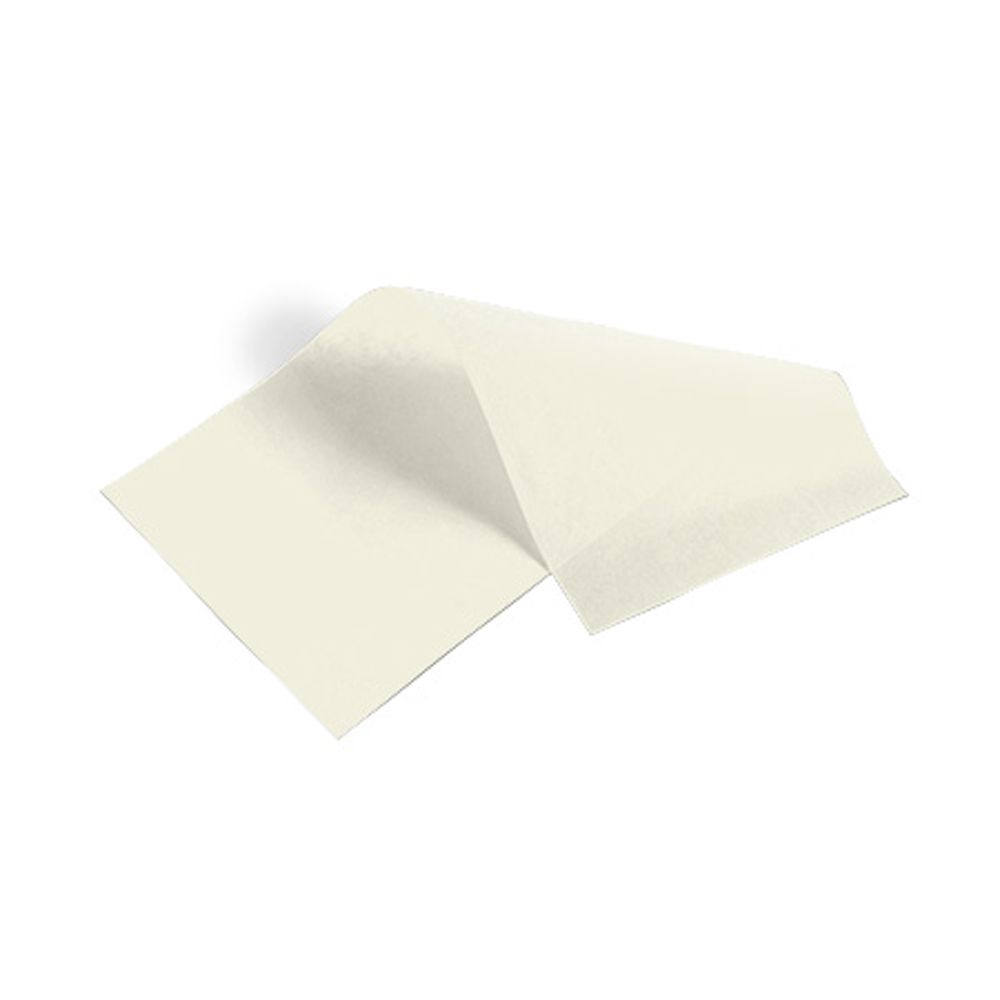 Large Recycled Birch Tissue Paper - 480 sheets