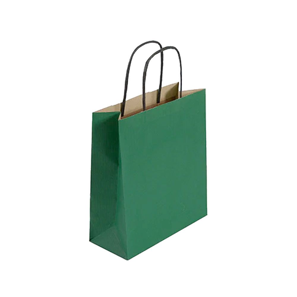 Pack of 25 Small Green Paper Gift Bags With Paper Twisted Handles