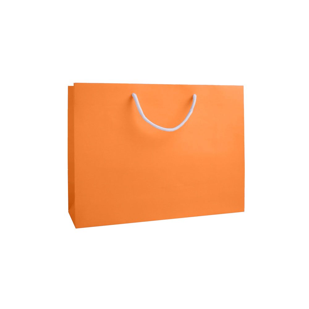 Large Landscape Apricot Crush Orange Paper Gift Bag With Rope Handles
