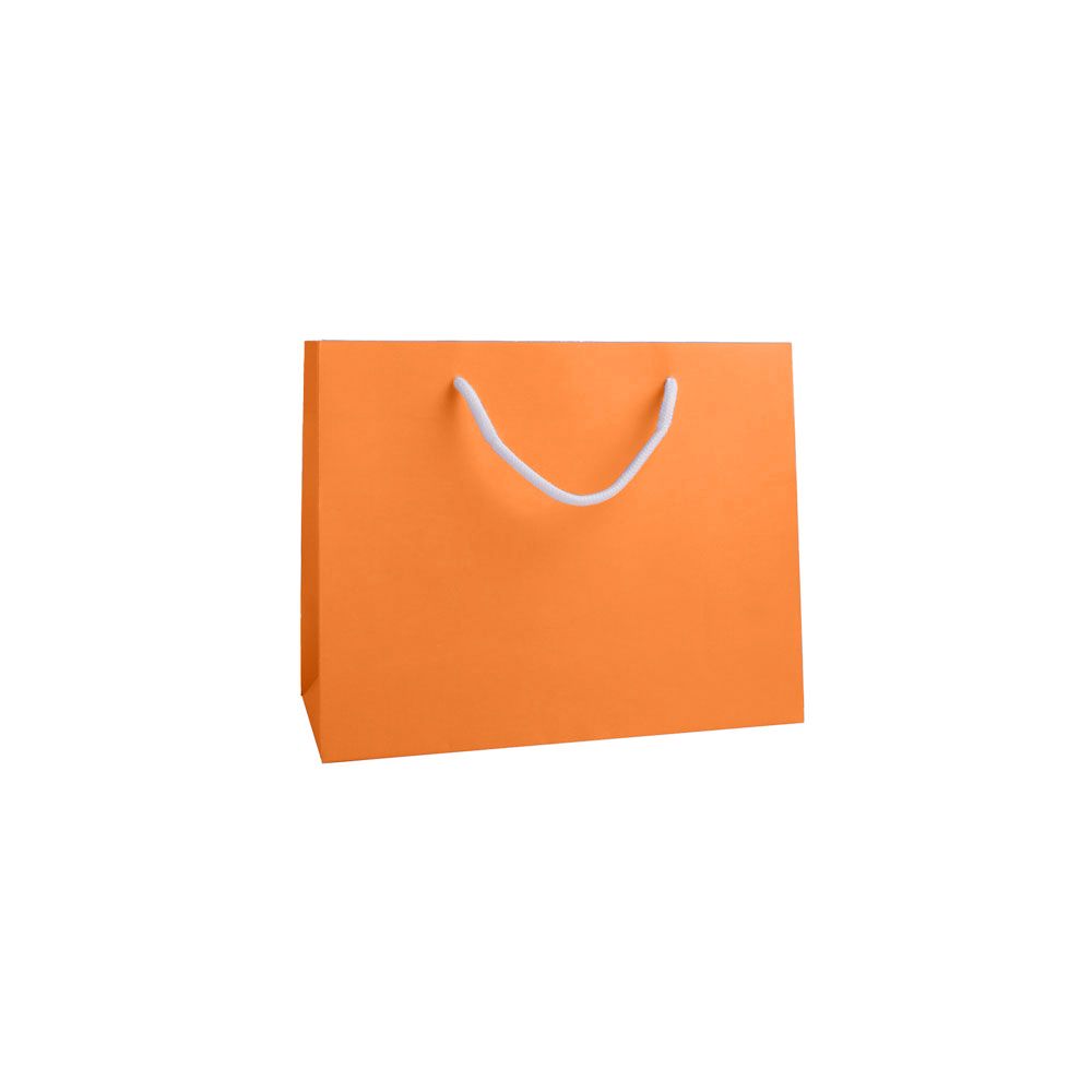 Medium Landscape Apricot Crush Orange Paper Gift Bag With Rope Handles