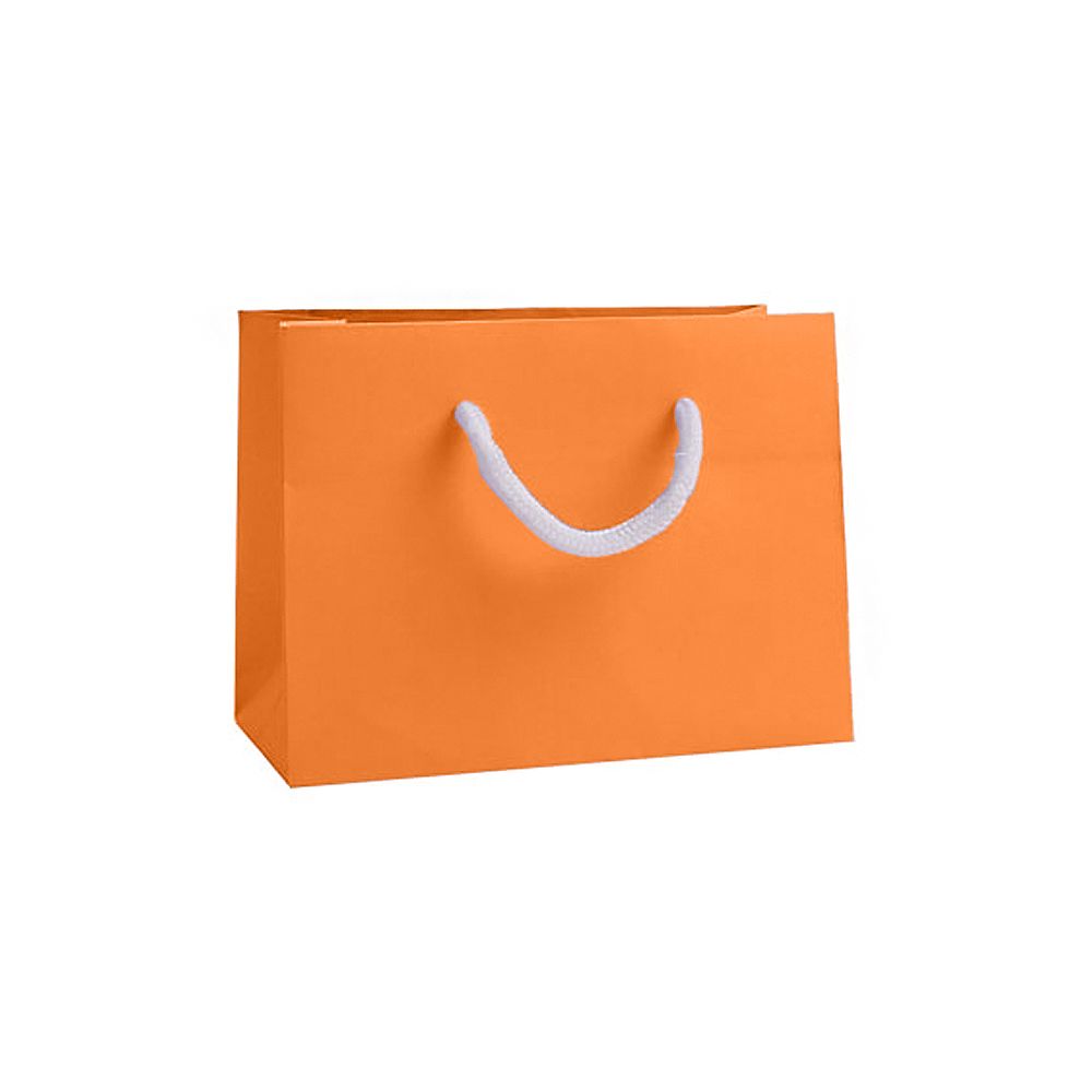 Small Landscape Apricot Crush Orange Paper Gift Bag with Rope Handles