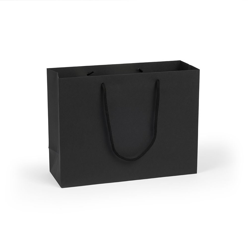 Large Landscape Black Paper Gift Bag With Rope Handles