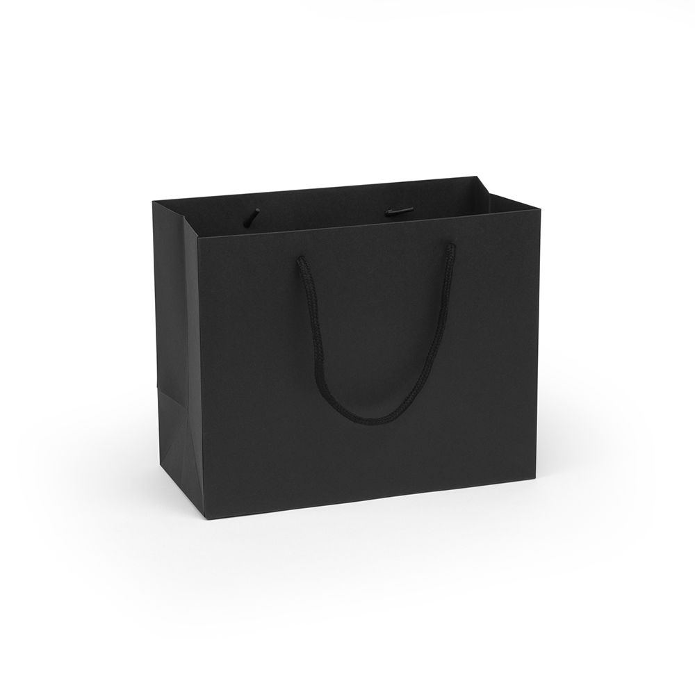 Medium Landscape Black Paper Gift Bag With Rope Handles