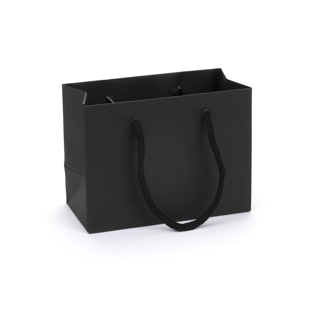 Small Landscape Black Paper Gift Bag With Rope Handles