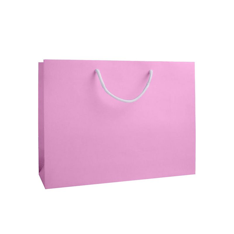 Large Landscape Fondant Pink Paper Gift Bag With Rope Handles