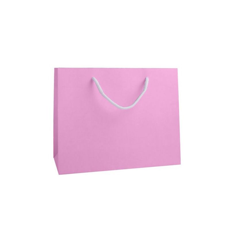 Medium Landscape Fondant Pink Paper Gift Bag With Rope Handles