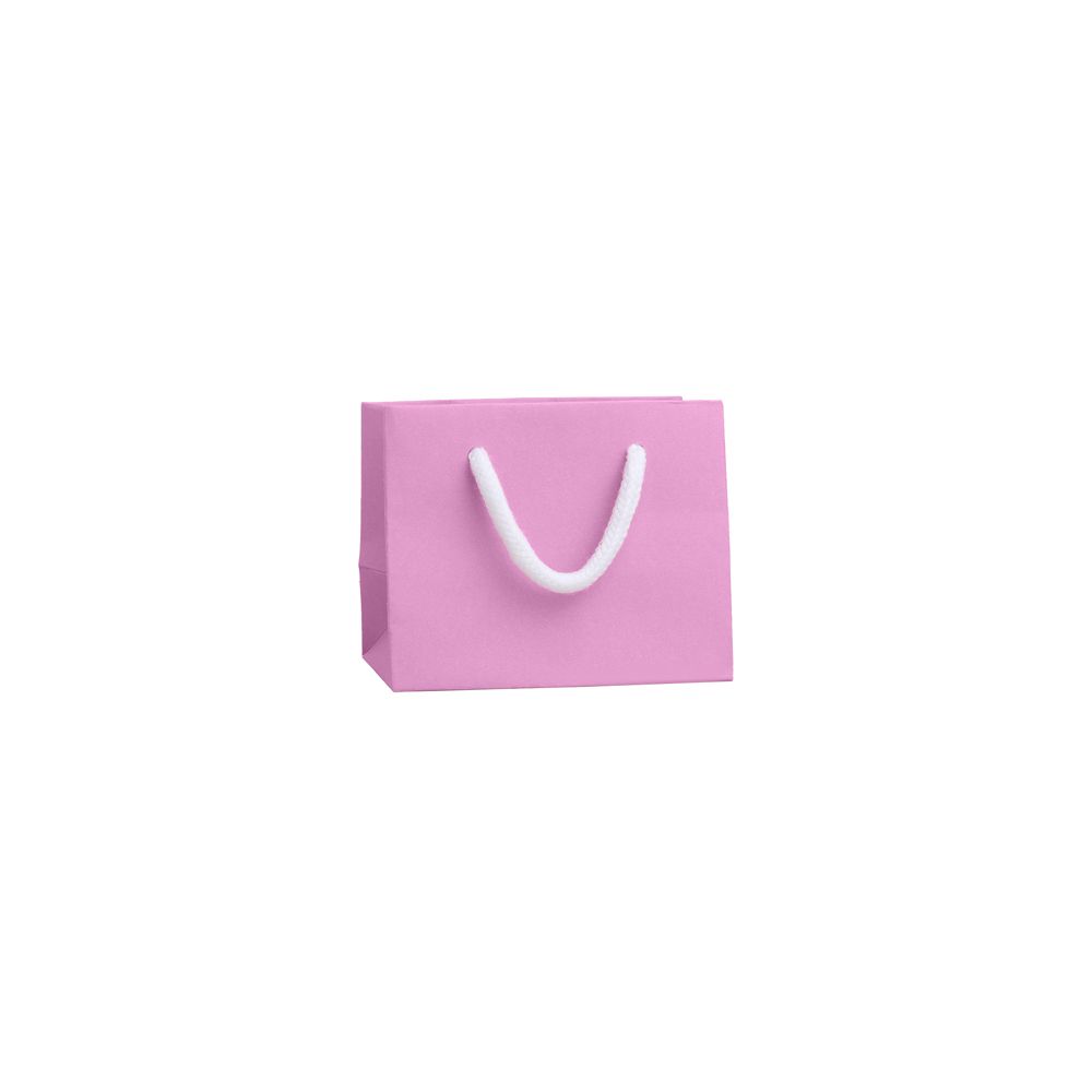 Extra Small Landscape Fondant Pink Paper Gift Bag with Rope Handles