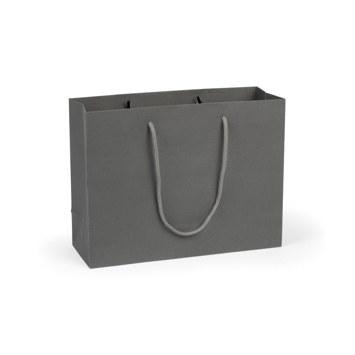 Large Landscape Grey Paper Gift Bag With Rope Handles