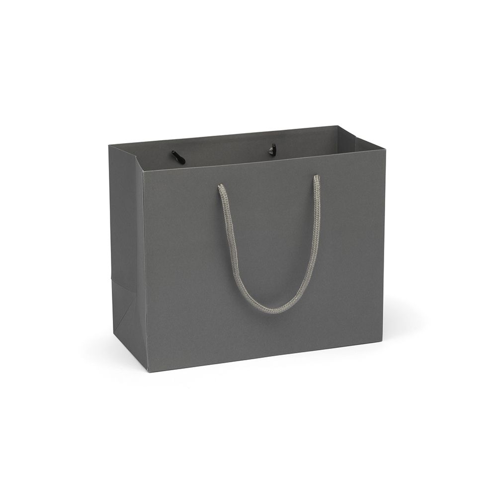 Medium Landscape Grey Paper Gift Bag With Rope Handles
