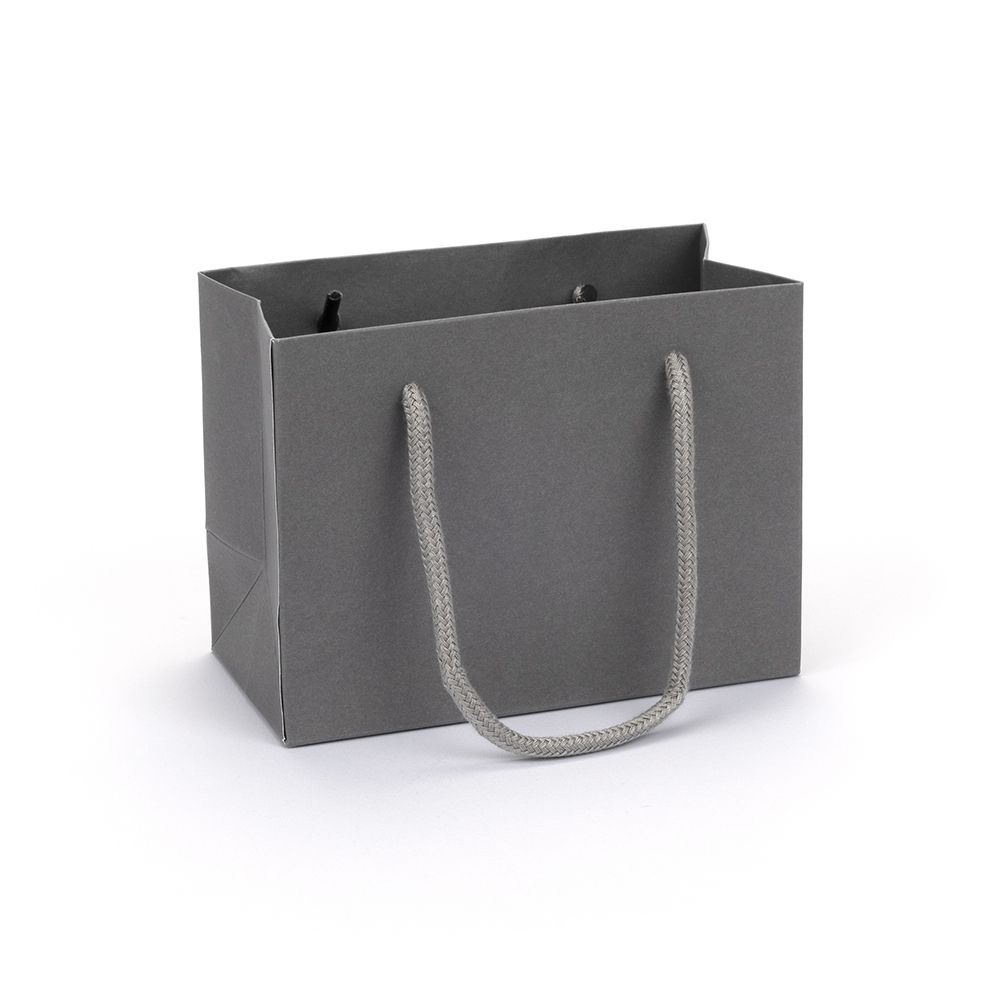 Small Landscape Grey Paper Gift Bag With Rope Handles