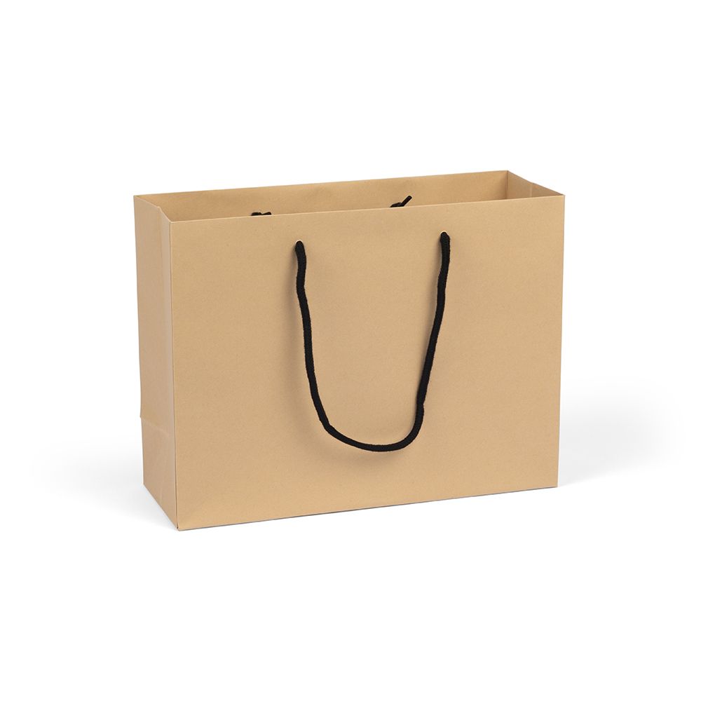 Large Landscape Kraft Brown Paper Gift Bag With Rope Handles