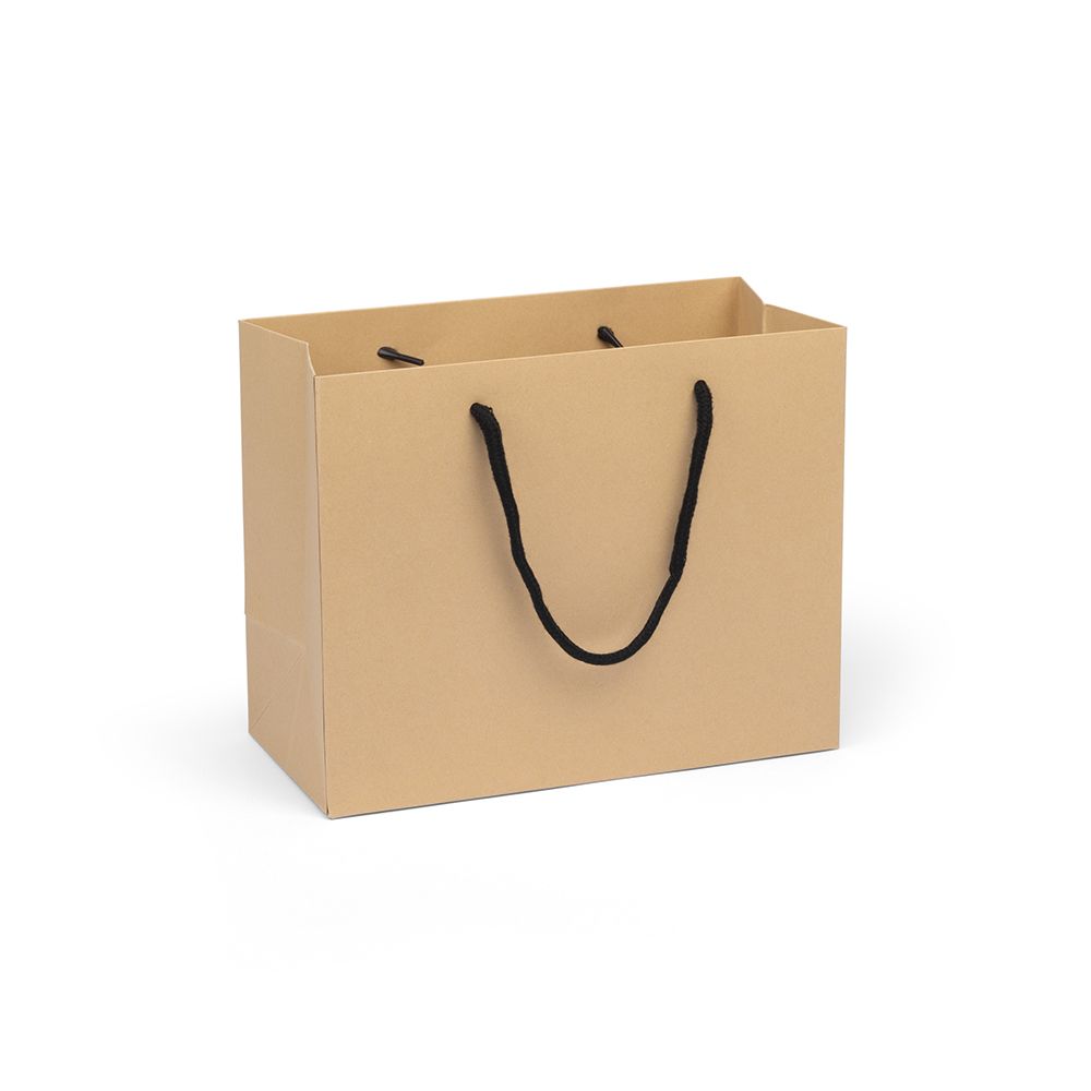 Medium Landscape Kraft Brown Paper Gift Bag With Rope Handles