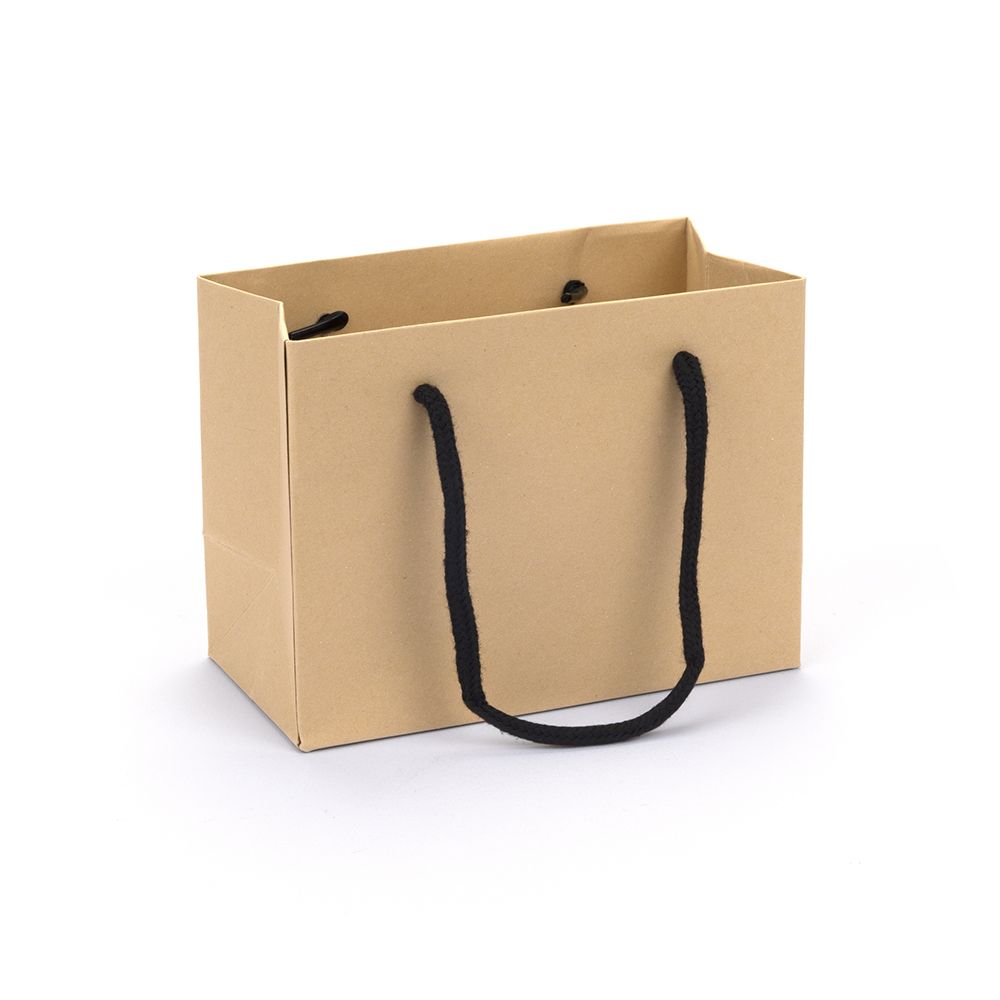 Small Landscape Kraft Brown Paper Gift Bag With Rope Handles