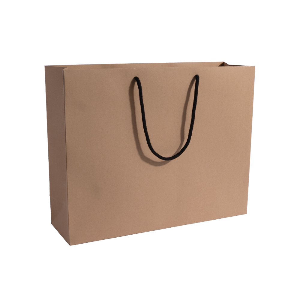 Extra Large Landscape Paper Gift Bag With Rope Handles