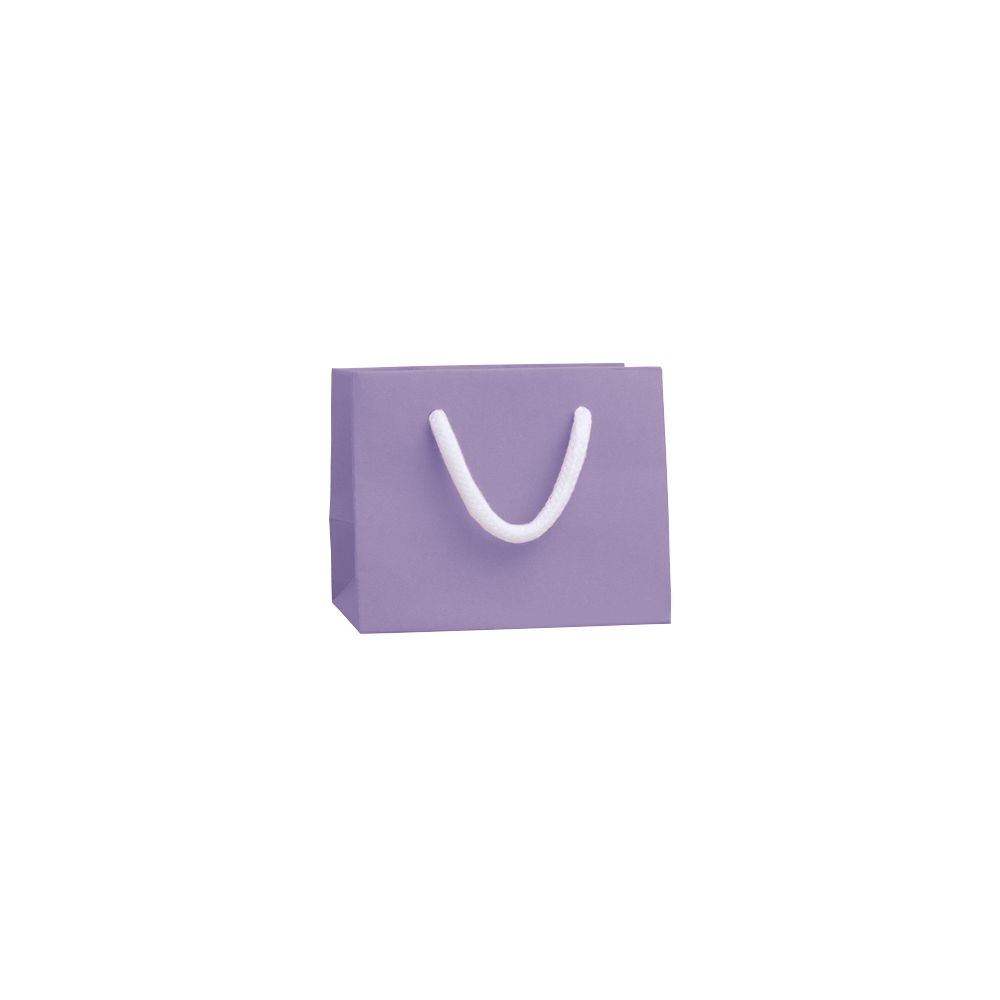 Extra Small Landscape Lilac Paper Gift Bag with Rope Handles