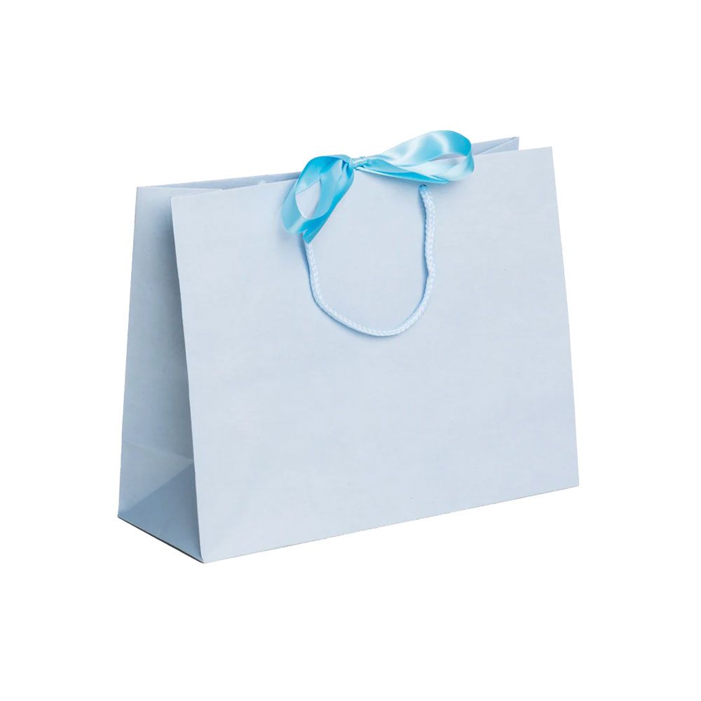 Pack of 25 Medium Landscape Light Blue Paper Gift Bags With Rope Handles and Ribbon