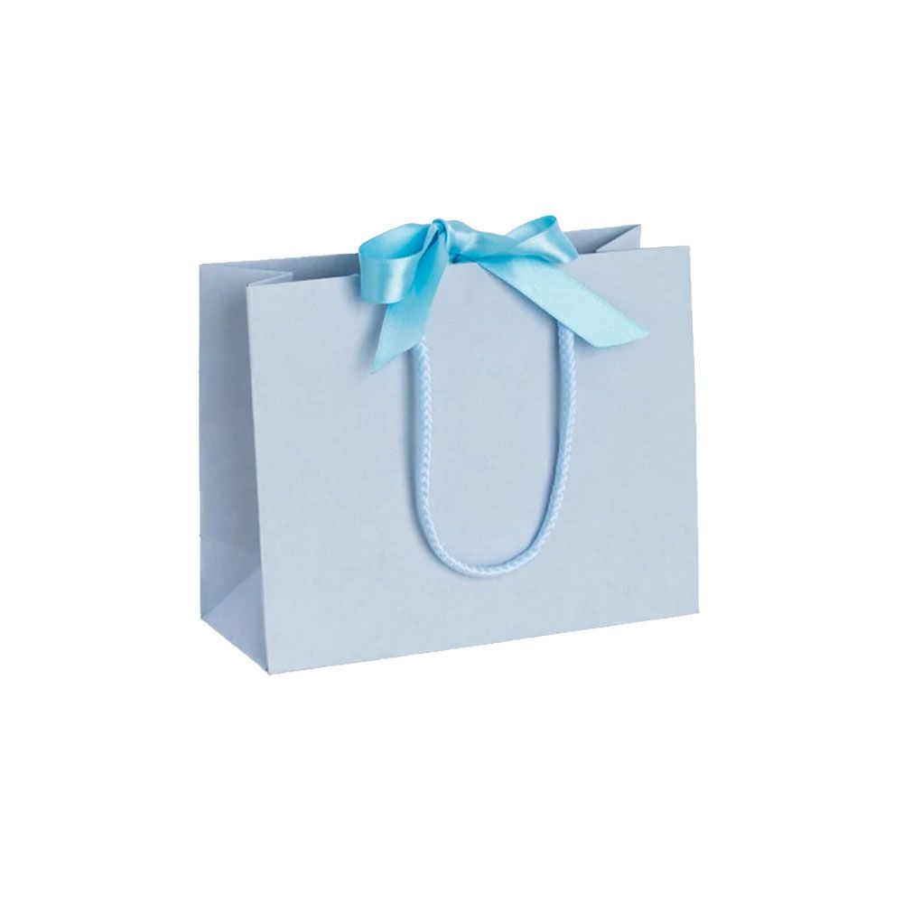 Pack of 25 Small Landscape Light Blue Paper Gift Bags With Rope Handles and Ribbon