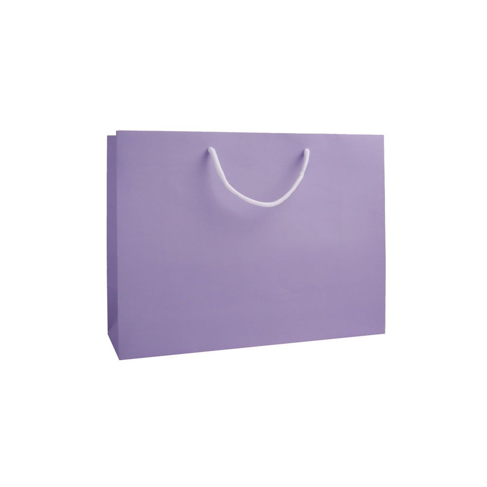 Large Landscape Lilac Paper Gift Bag With Rope Handles