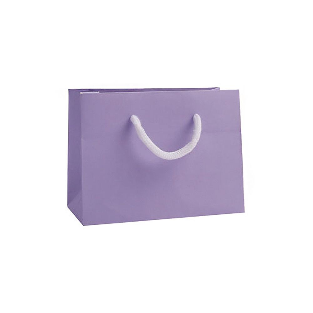 Small Landscape Lilac Paper Gift Bag With Rope Handles
