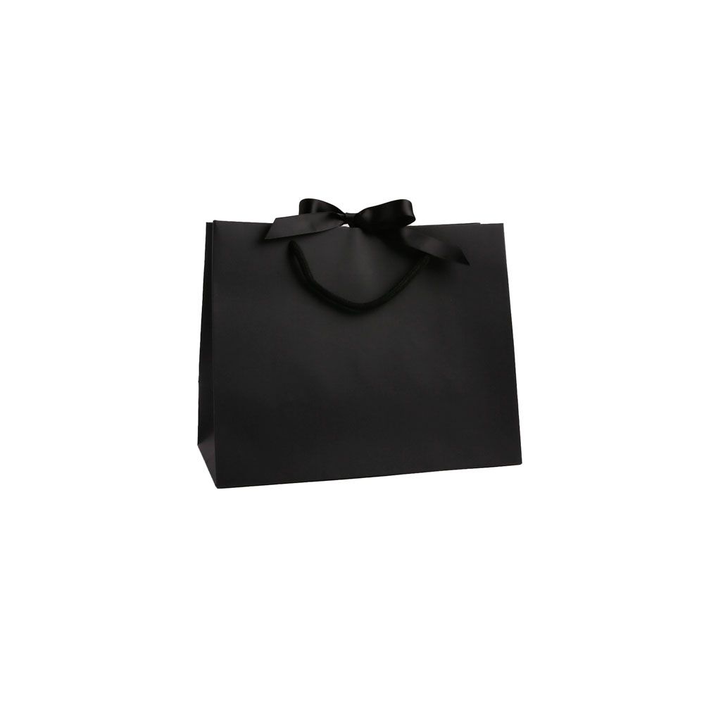 Medium Landscape Black Paper Gift Bag With Rope Handles and Ribbon 