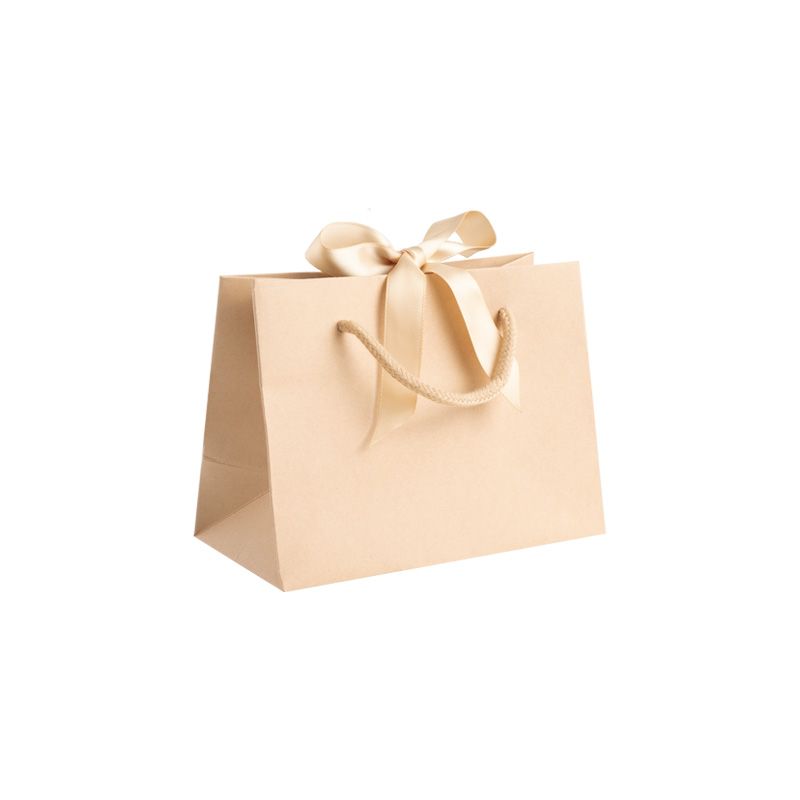 Small Landscape Kraft Gift Bag With Rope Handles and Ribbon