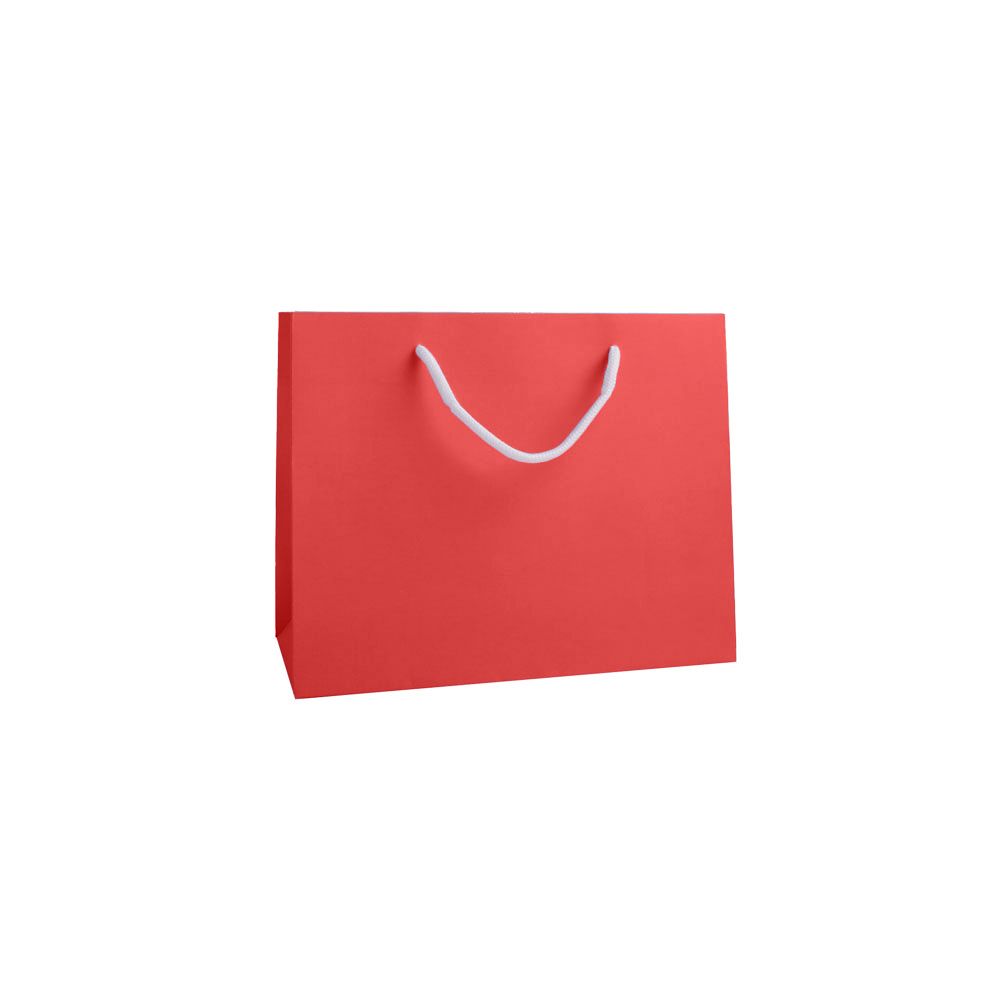 Medium Landscape Radiant Red Paper Gift Bag with Rope Handles