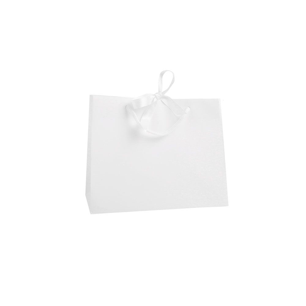 Medium Landscape White Paper Gift Bag With Rope Handles and Ribbon