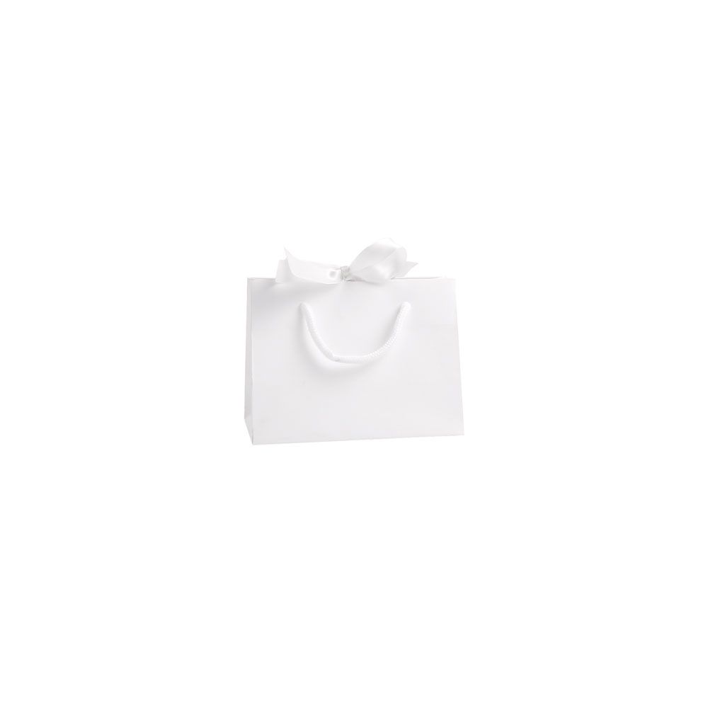 Small Landscape White Paper Gift Bag With Rope Handles and Ribbon