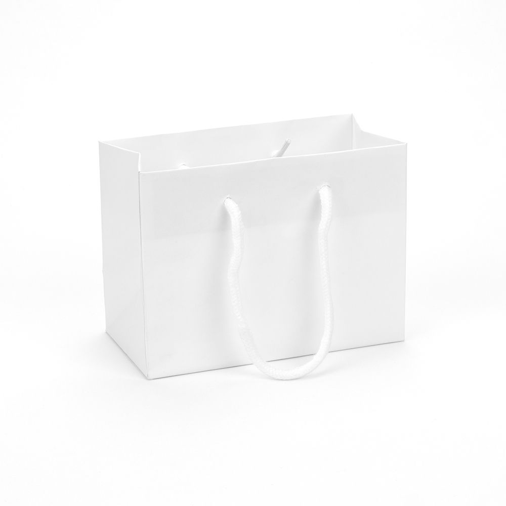 Small Landscape White Paper Gift Bag With Rope Handles