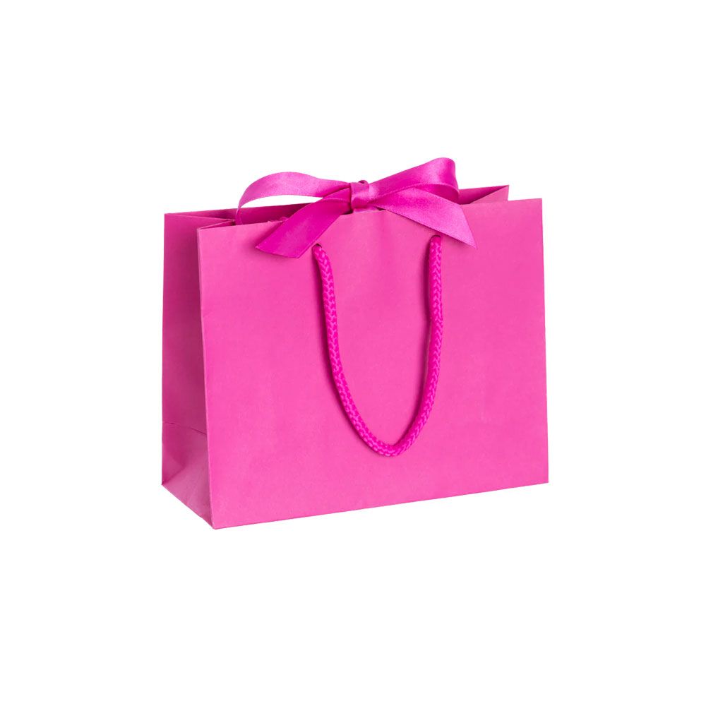 Pack of 25 Small Landscape Magenta Paper Gift Bags With Rope Handles and Ribbon