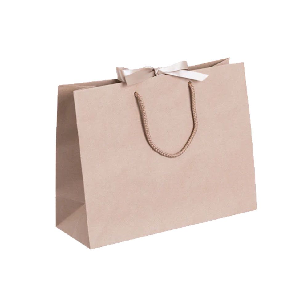 Pack of 25 Medium Landscape Kraft Brown Paper Gift Bags With Rope Handles and Ribbon