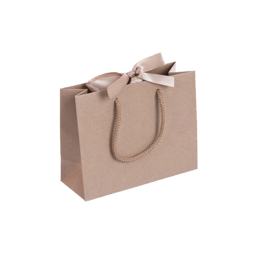 Pack of 25 Small Landscape Kraft Brown Paper Gift Bags With Rope Handles and Ribbon