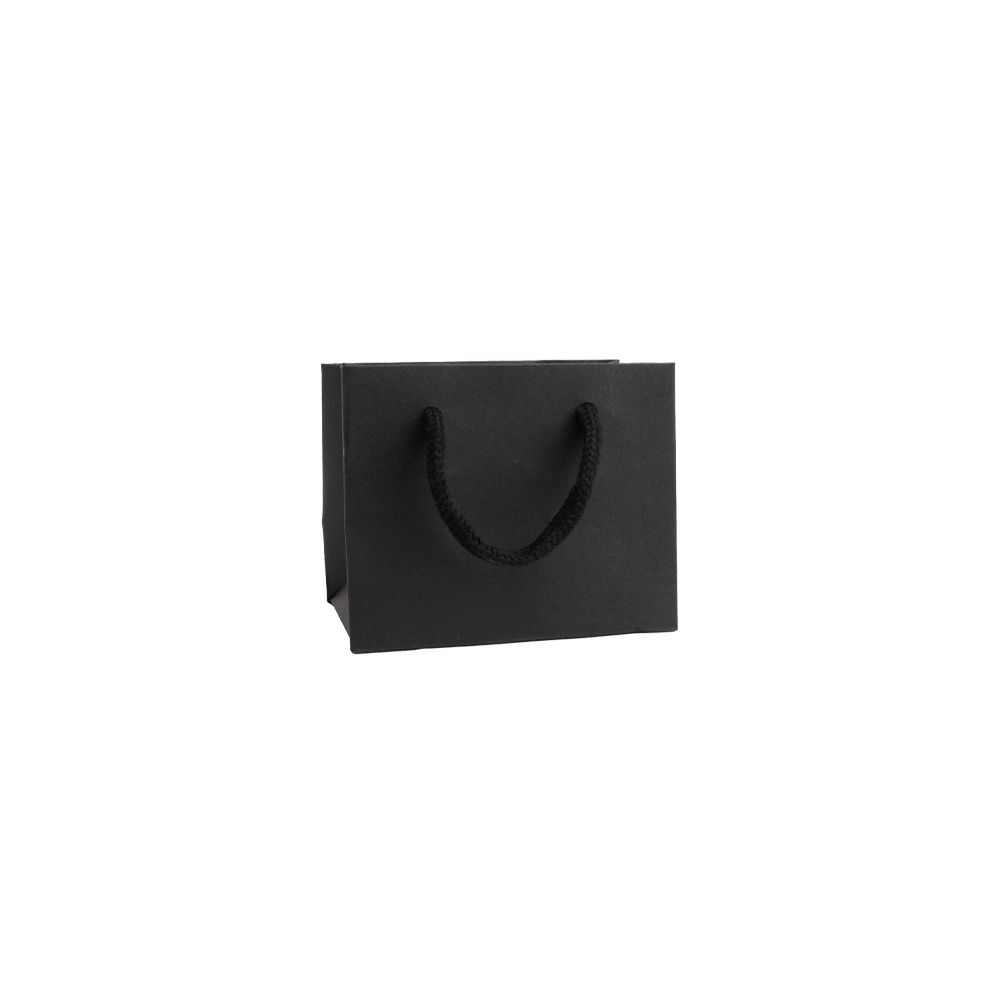 Extra Small Landscape Black Paper Gift Bag With Rope Handles