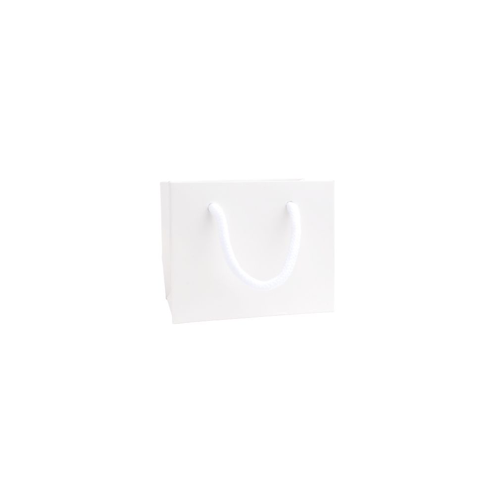 Extra Small Landscape White Paper Gift Bag With Rope Handles