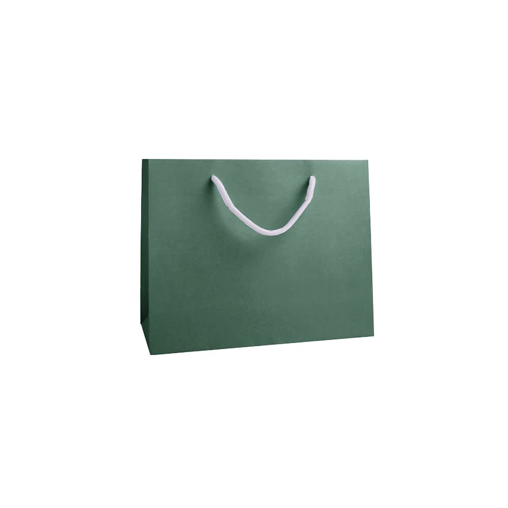 Medium Landscape Forest Green Paper Gift Bag With Rope Handles